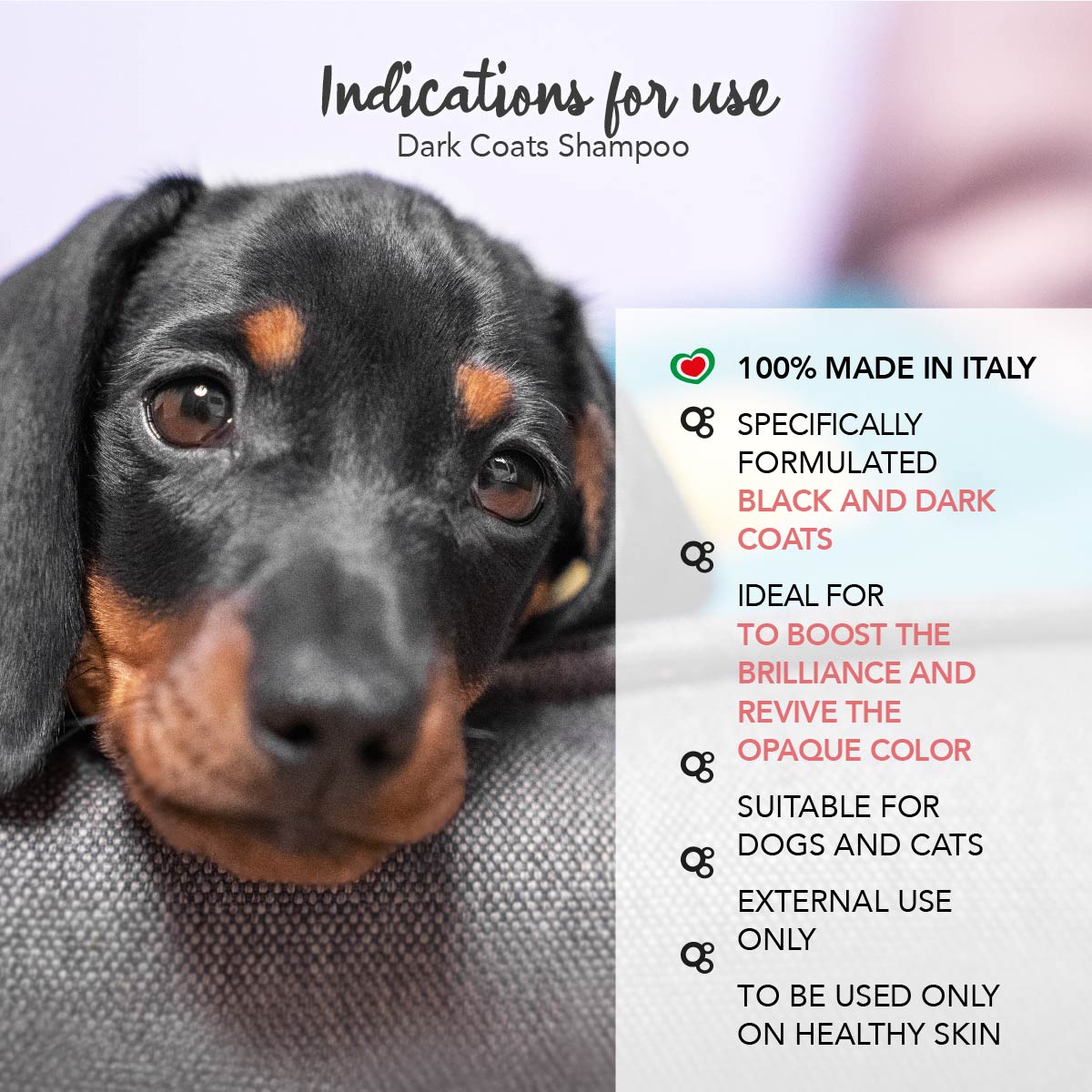 Yuup! Home - Dark Coats Kit