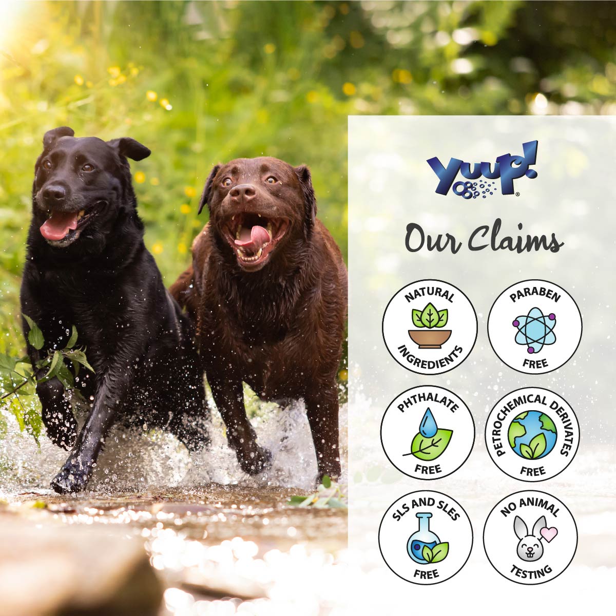 Yuup! Home - Dark Coats Kit