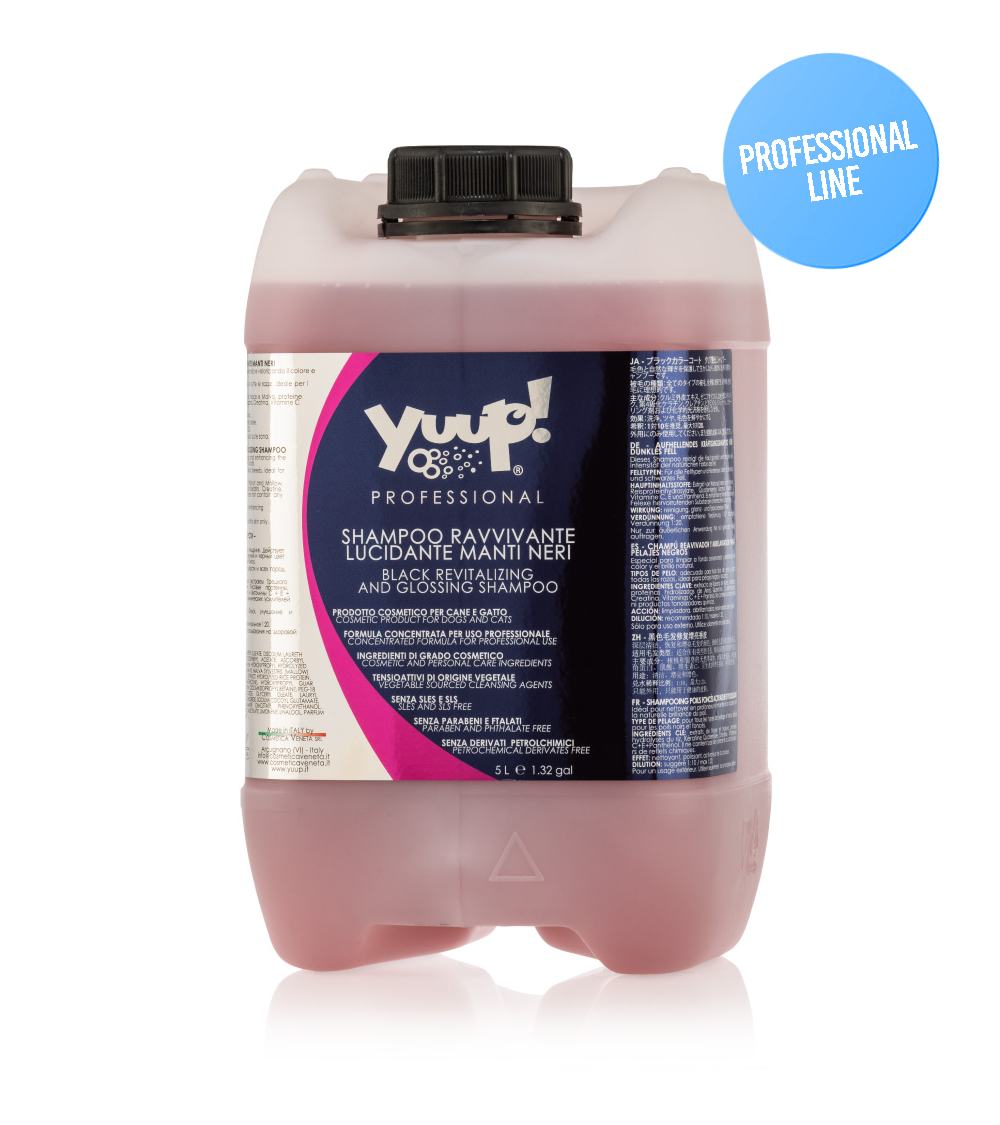 Yuup! Professional Black Revitalizing And Glossing Shampoo 5 Liter - Consumer