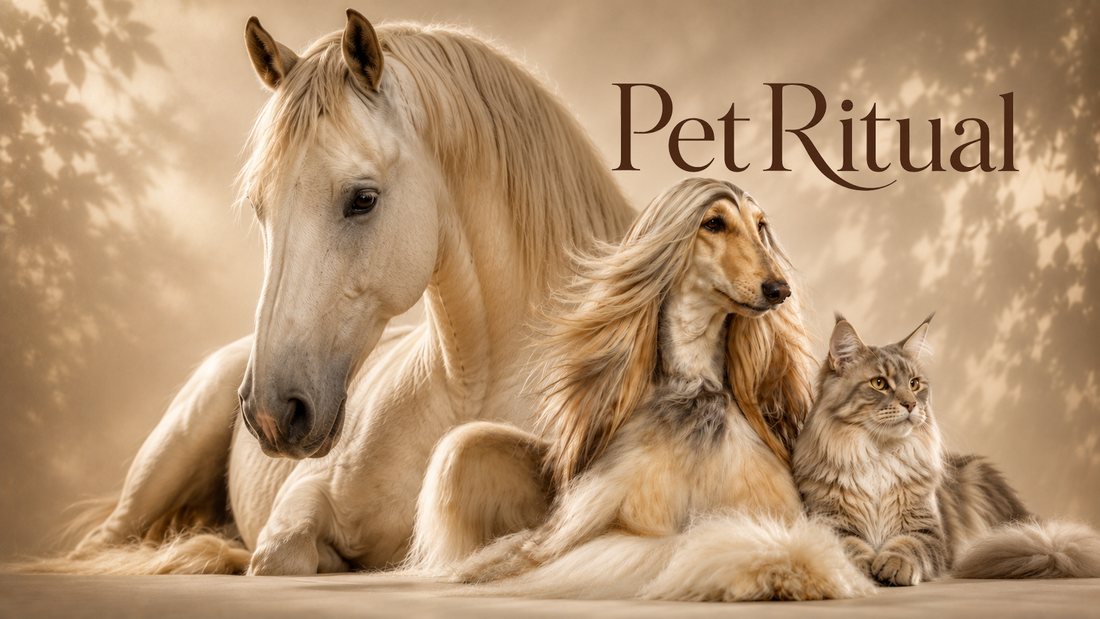 Pet Ritual: The Smart Way to Find the Right Grooming Routine for Your Pet