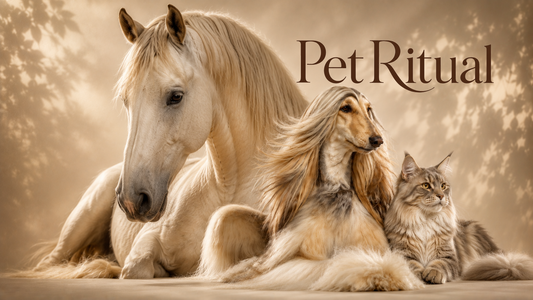 Pet Ritual: The Smart Way to Find the Right Grooming Routine for Your Pet