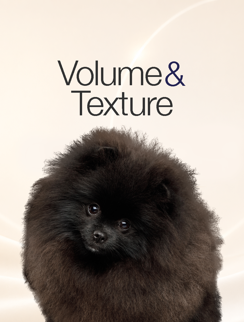 Volumizing Ritual Home Collection