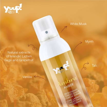 Yuup! Fashion Amber Deodorant 300ml
