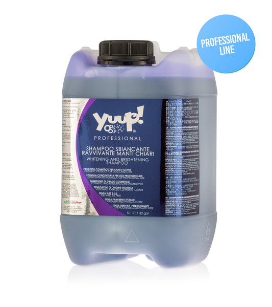Yuup! Professional Whitening And Brightening Shampoo 5 Liter - Consumer